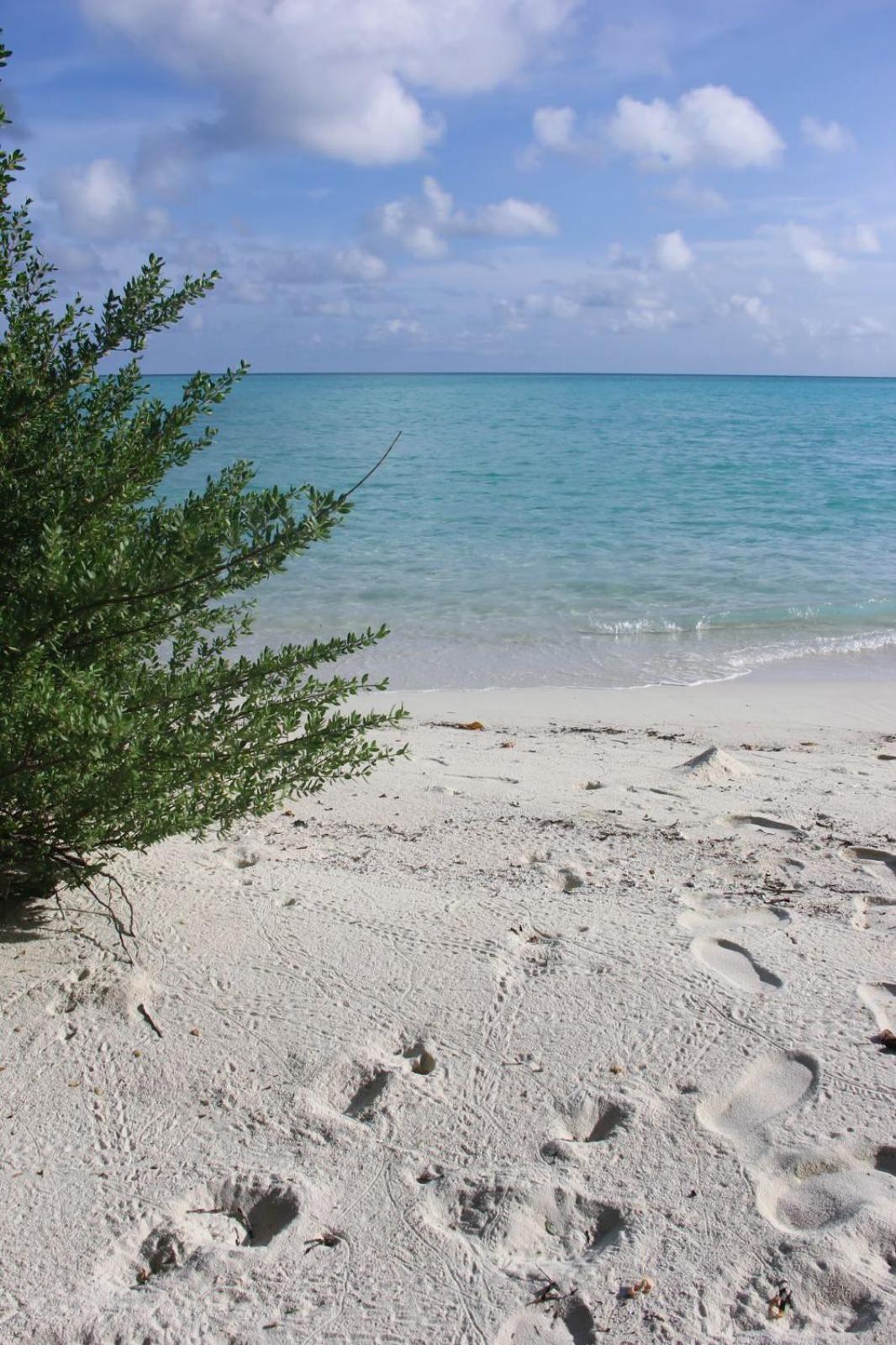 Hotel Isla Retreat Fehendhoo Zewnętrze zdjęcie